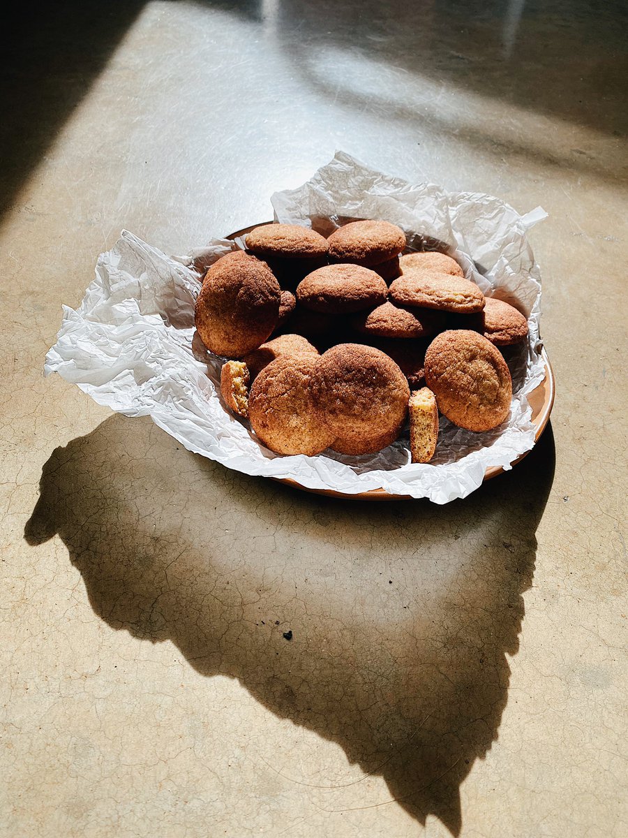 MerrettOpal's tweet photo. Snickerdoodle results! #opalscooked #snickerdoodle #digiplat https://t.co/t5mvTDqC7H