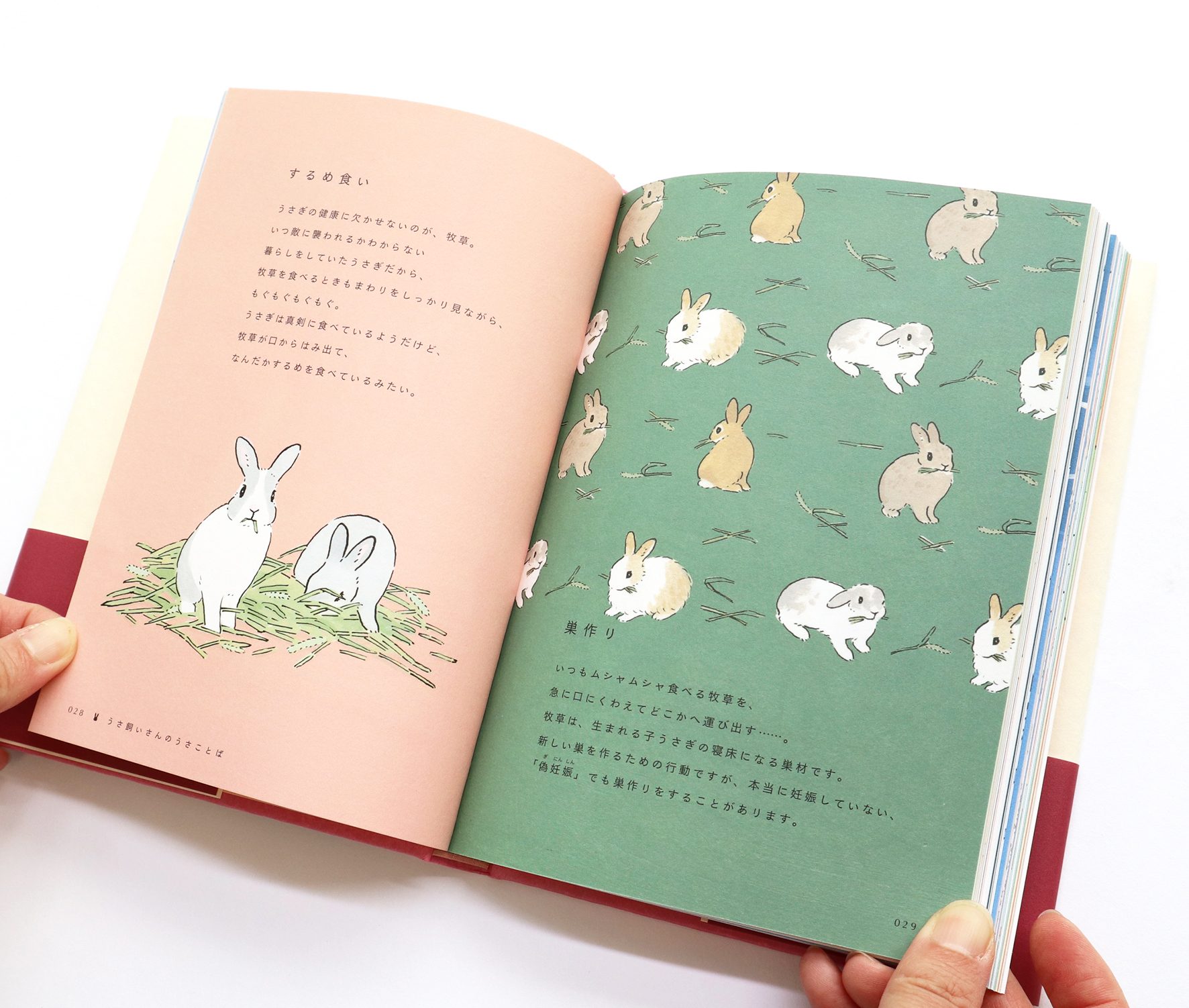 グラフィック社 編集部 国際部 うさことば辞典 グラフィック社編集部 編 森山標子 絵 B6 上製 144頁 1 540円 税込 Isbn 978 4 7661 3462 9 6月8日頃から順次発売開始 全国の書店さんやネット書店でご予約受付中です T Co グラフィック社 編集部 国際部 うさことば辞典 グラフィック社編集部 編 森山標子 絵 B6 上製 144頁 1 540円 税込 Isbn 978 4 7661 3462 9 6月8日頃から順次発売開始 全国の書店さんやネット書店でご予約受付中です T Co