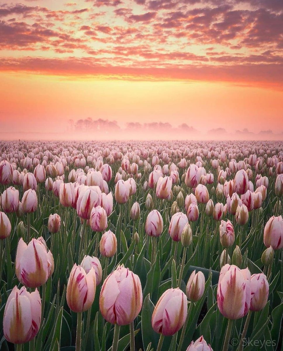 TravelBD5's tweet photo. https://t.co/98Uu9IQDq2