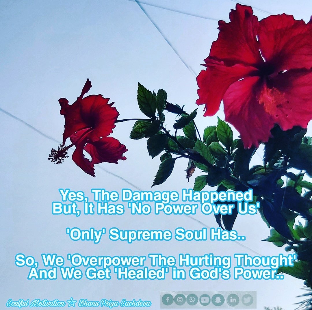 BhanuPriya2609's tweet image. 🌿 Heal Mental &amp;amp; Emotional Injuries 🍃
▶️📶 @soulful.motivation 📝📷
#NoPower #PowerOver #OverPower #SupremePower #GodsPower #HealingPower #GodControls #GodsControl #NothingControls #HealHarm #HealHurt #HealLoss #HealingThought #Hibiscus #Flower #Tree #Sky #RandomPhotograph