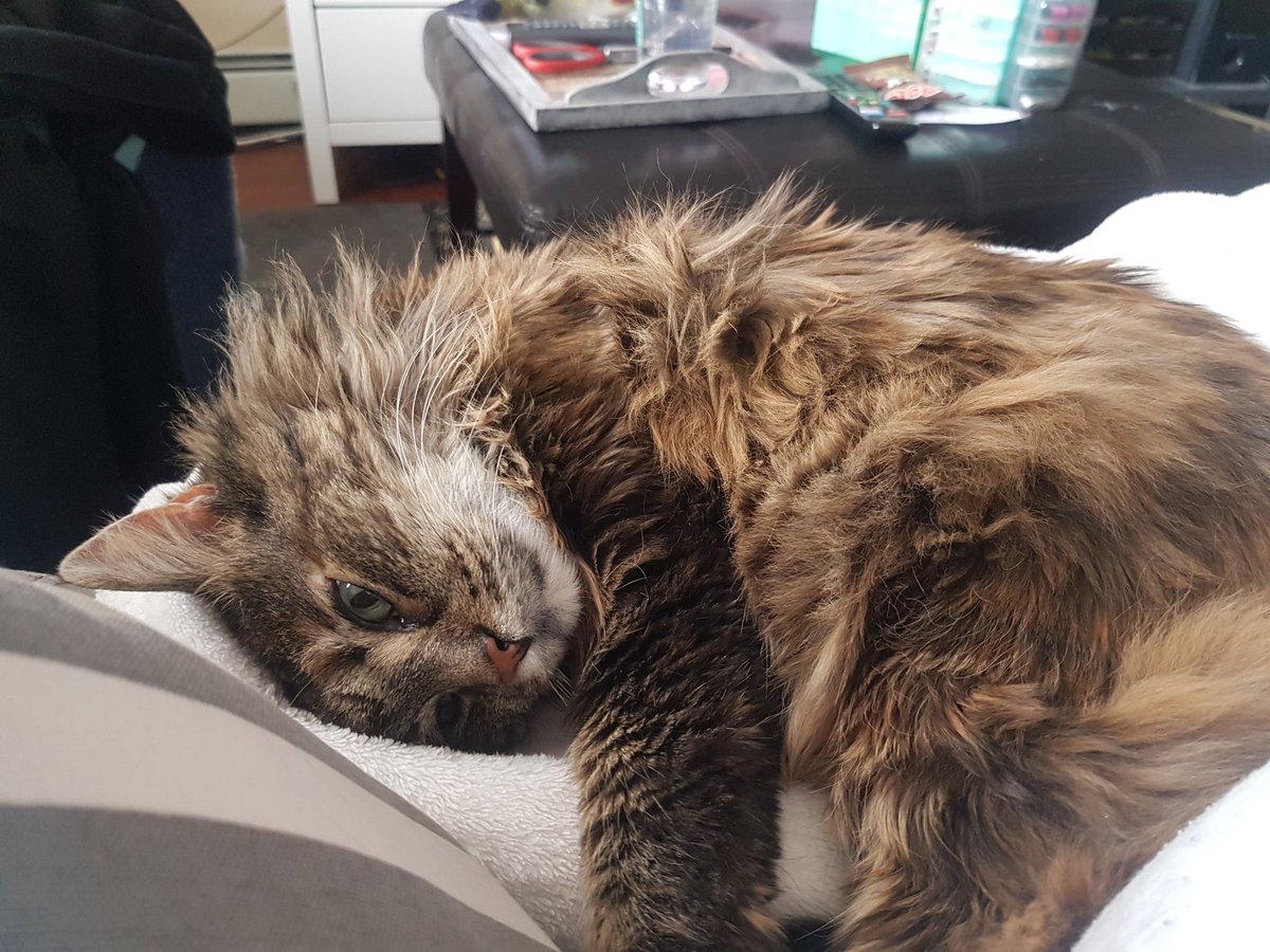 Wanderlover tweet media