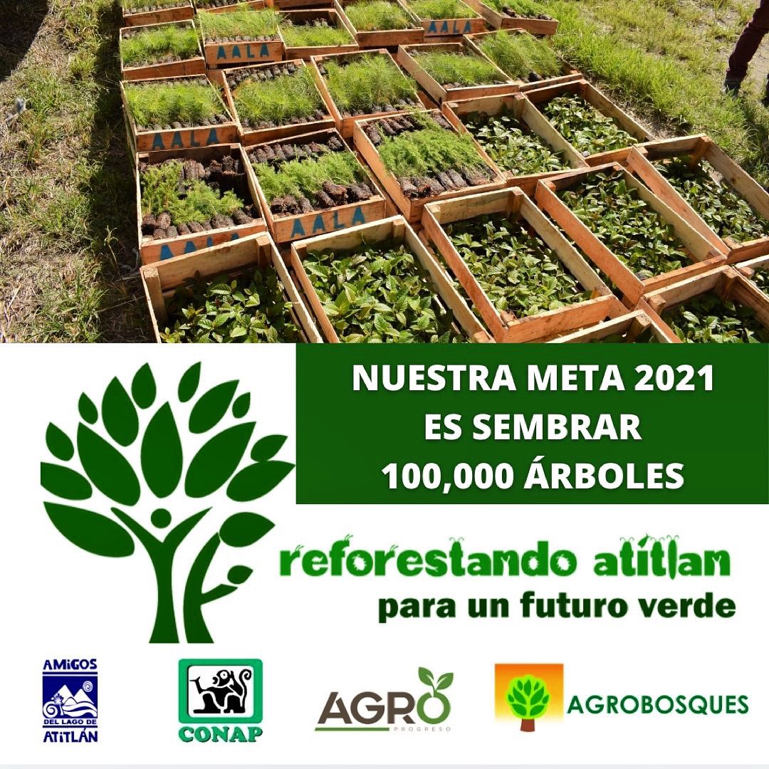 Amigos del Lago de Atitlán tweet media