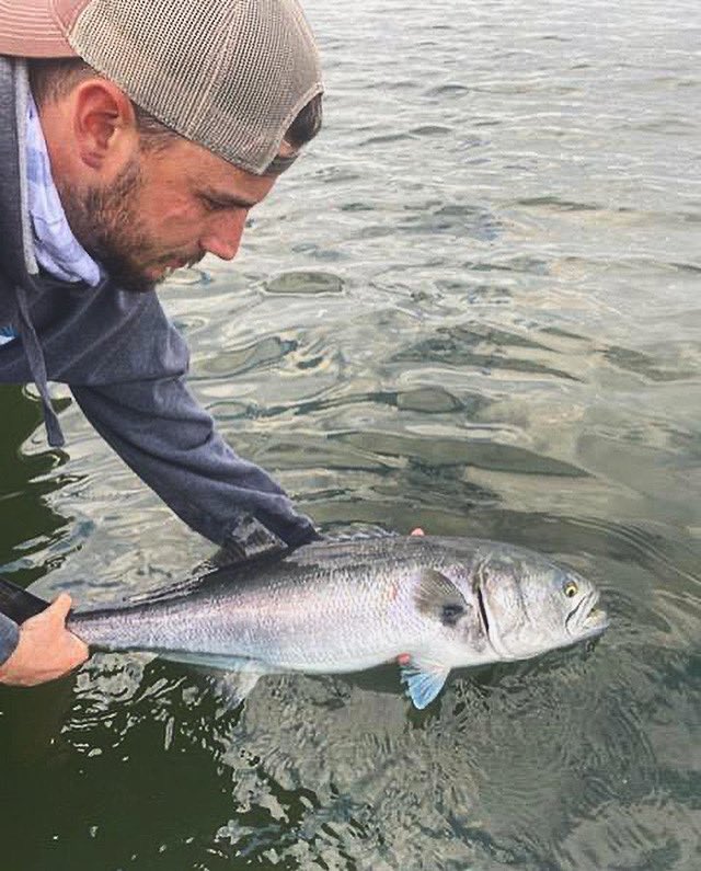 Capt.Pio (@captpio) on Twitter photo 