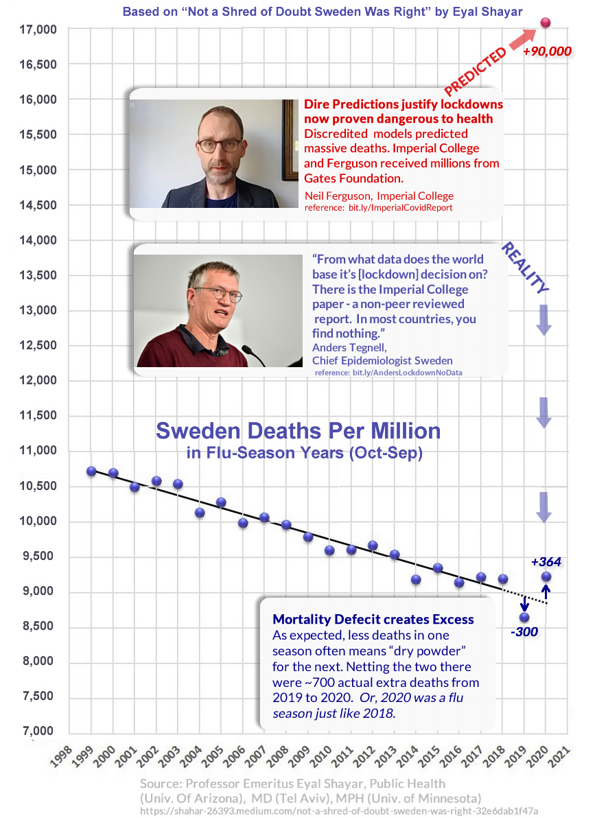 BOMBSHELL SINGLE PICTURE OF THE PANDEMIC.  Gates' Modeller Wrong, Lockdowns Ineffective, Sweden Has Deaths Of A Normal Flu Season.  Adaptation of Dr. Shayar "Not A Shred of Doubt."