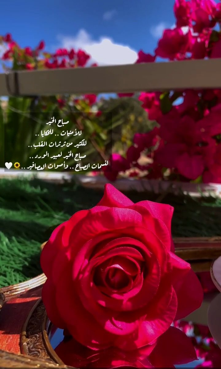 صباح اللُطف وأنا أعنيها جدًا ثم أنوي لكم صباح مُختلف ويوم مُختلف كونوُا بِخير🌤🌾
