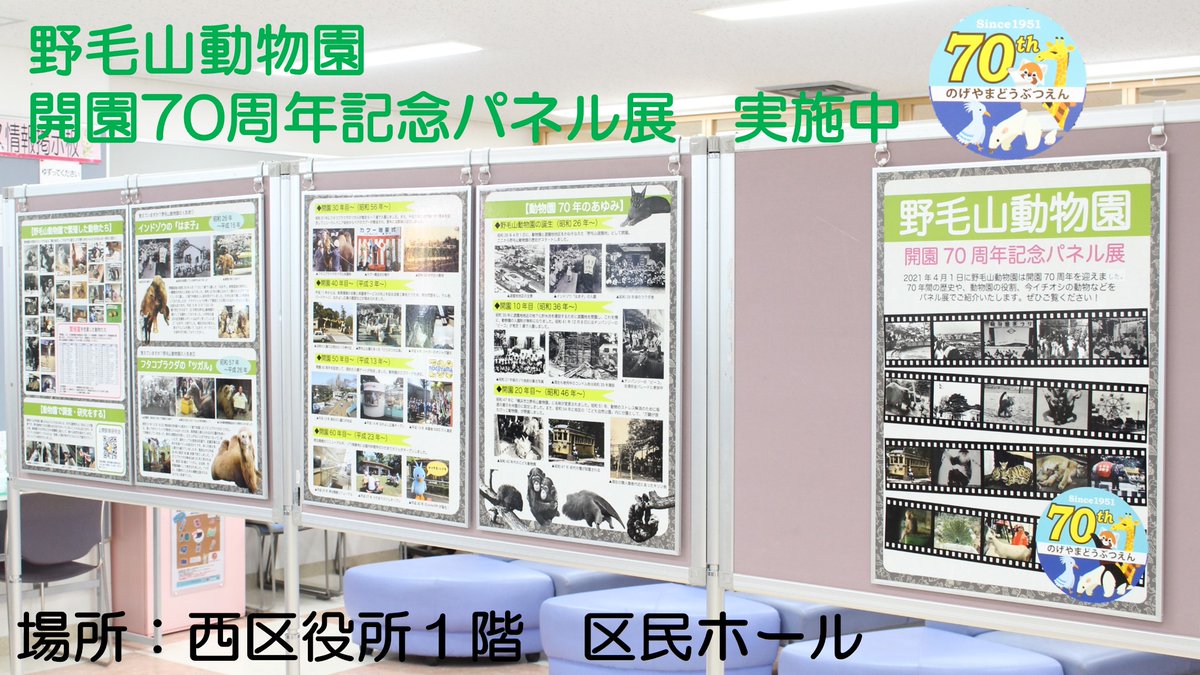 横浜市西区役所 Pa Twitter 区役所イベント ６月１日 火 から15日 火 まで 西区役所１階 区民ホールにて 野毛山動物園 開園70周年記念パネル展 を実施中 70年のあゆみや動物園の人気者など たくさんの写真とともにご紹介しています 横浜 西区