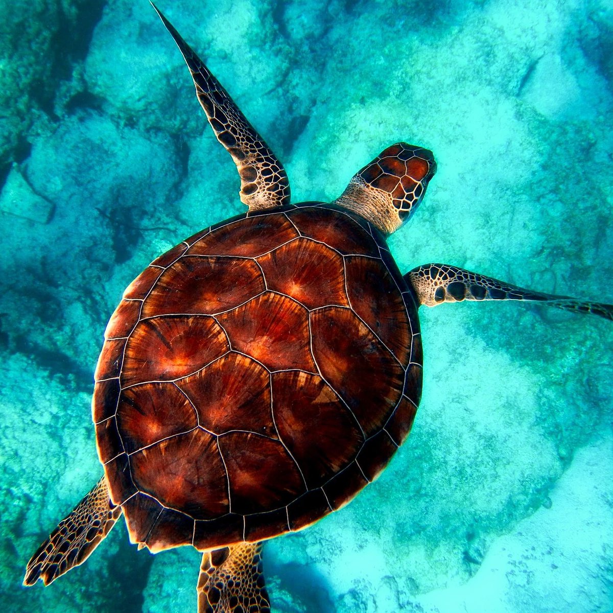 “It does not matter how slowly you go as long as you do not stop"