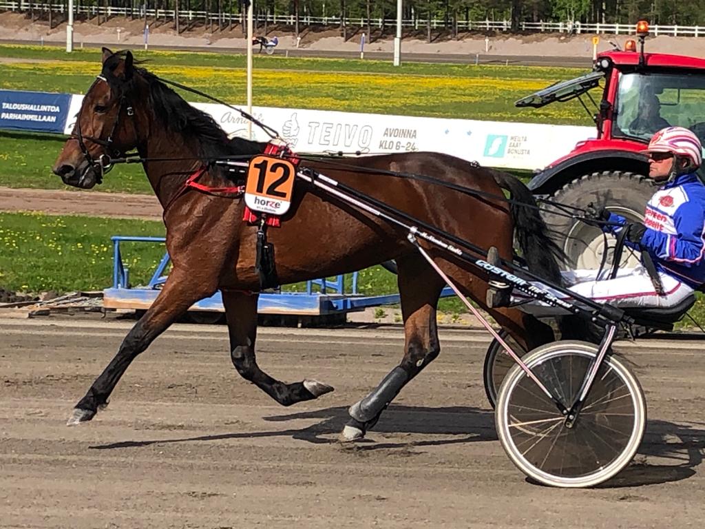 jukkaniskanen's tweet photo. Nyt alkoi kesäloma! Koelähtö
suoritettu, syksyllä starttiin. #tytötlaitumella #vihreässä #callelaladybird #leppis #ravit https://t.co/Brf8Ssmvg8