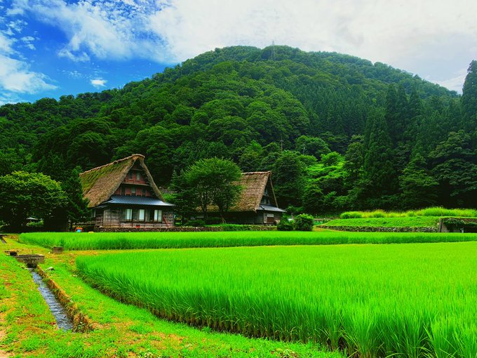 夏を感じる写真のtwitterイラスト検索結果 夏を感じる写真のtwitterイラスト検索結果