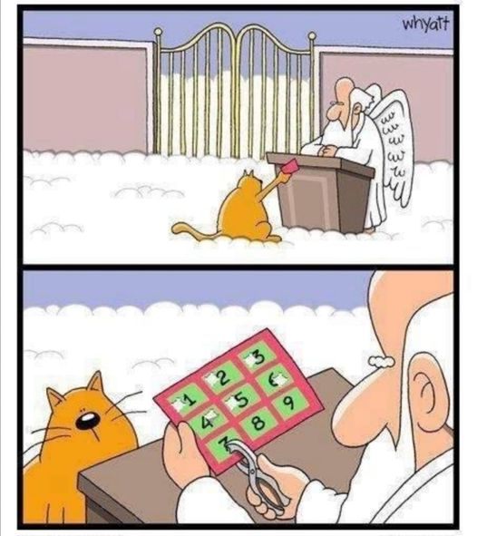 E2xUeT4XIAMdOnx?format=jpg&name=small