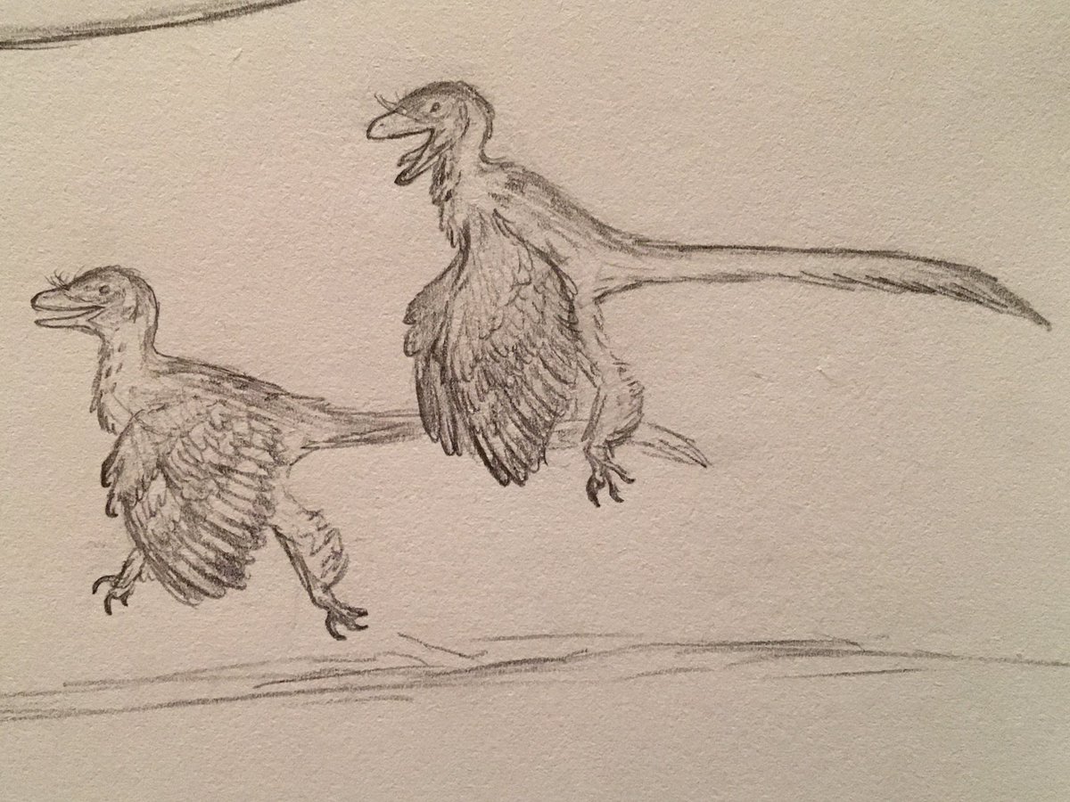 aublysodon55's tweet photo. in a week of the formation with those big overexposed(but rly cool) theropods, here’s some of the Morrison’s lesser known ones- Marshosaurus & the possible microraptorian “Paleopteryx thomsoni”, running along for some reason #MorrisonWeek https://t.co/knyfKm6pVi