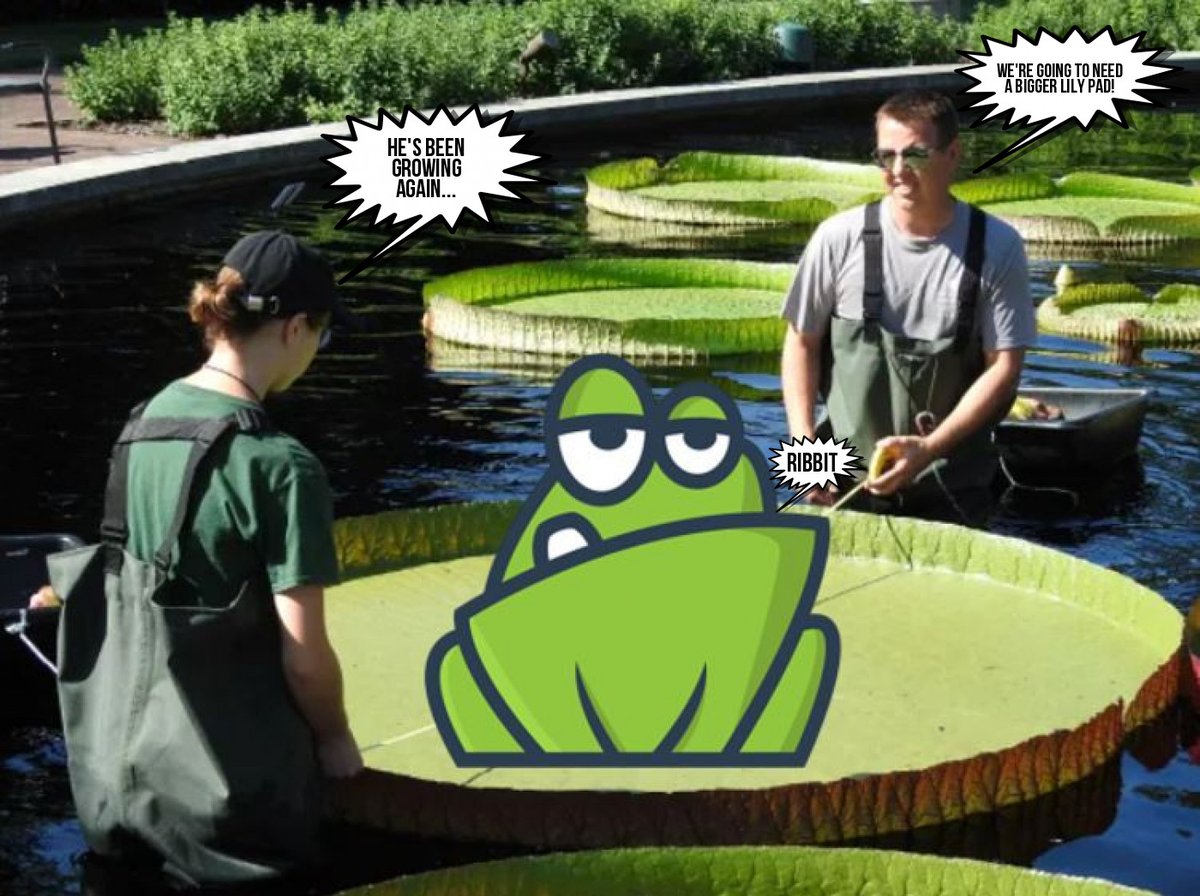 psilociben's tweet photo. Just a casual 60 BNB buy and 50% gain today... Carry on everyone, nothing to see here...

$FROGE @frogefinance1 @FinanceFroge @froge_toons #hodltherainforests #ecodefi #froge #Crypto #cryptocurrency #CryptoNews #cryptotwitter #cryptoforgood #HODL #ClimateAction #BSC #BSCGems https://t.co/UEWr6dlSyk
