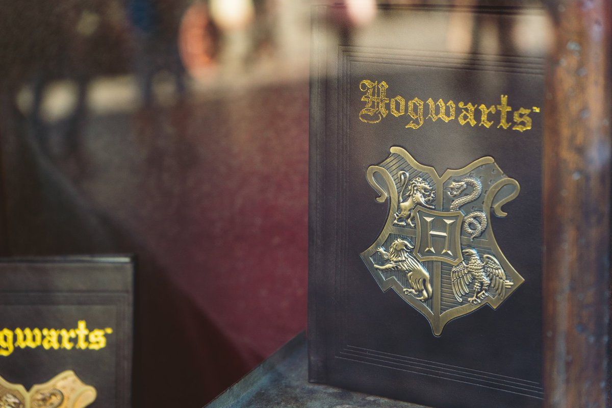I keep forgetting that I photograph more than just toys lol #HarryPotter #universalstudios