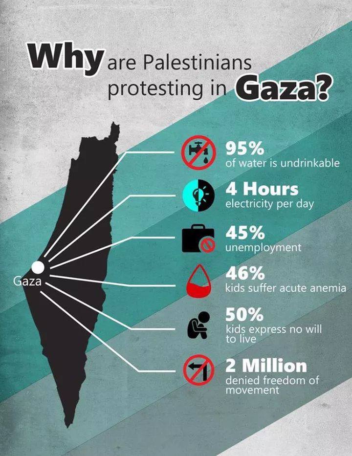 This is what happening in Gaza. #FreeGaza #FreePalestine