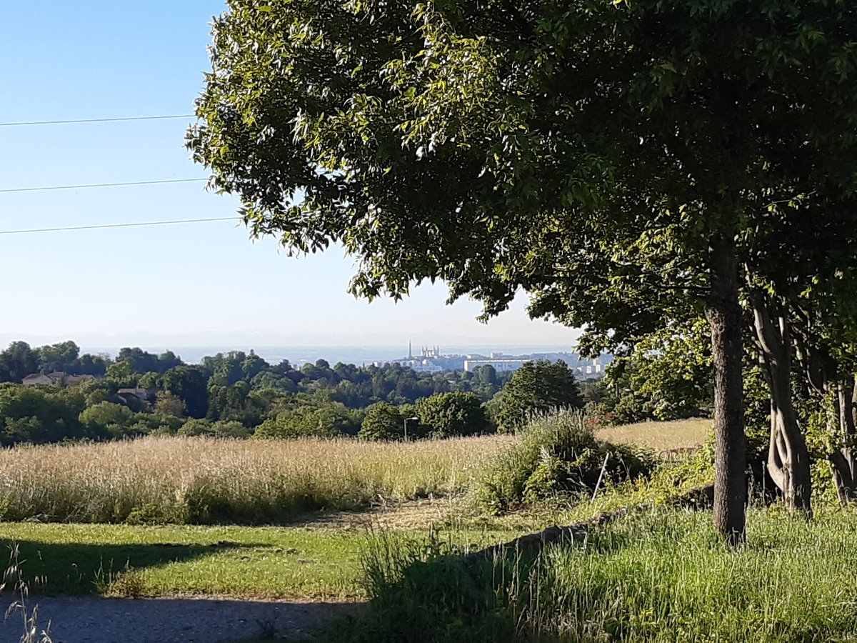 Cécile Saint-Marc tweet media