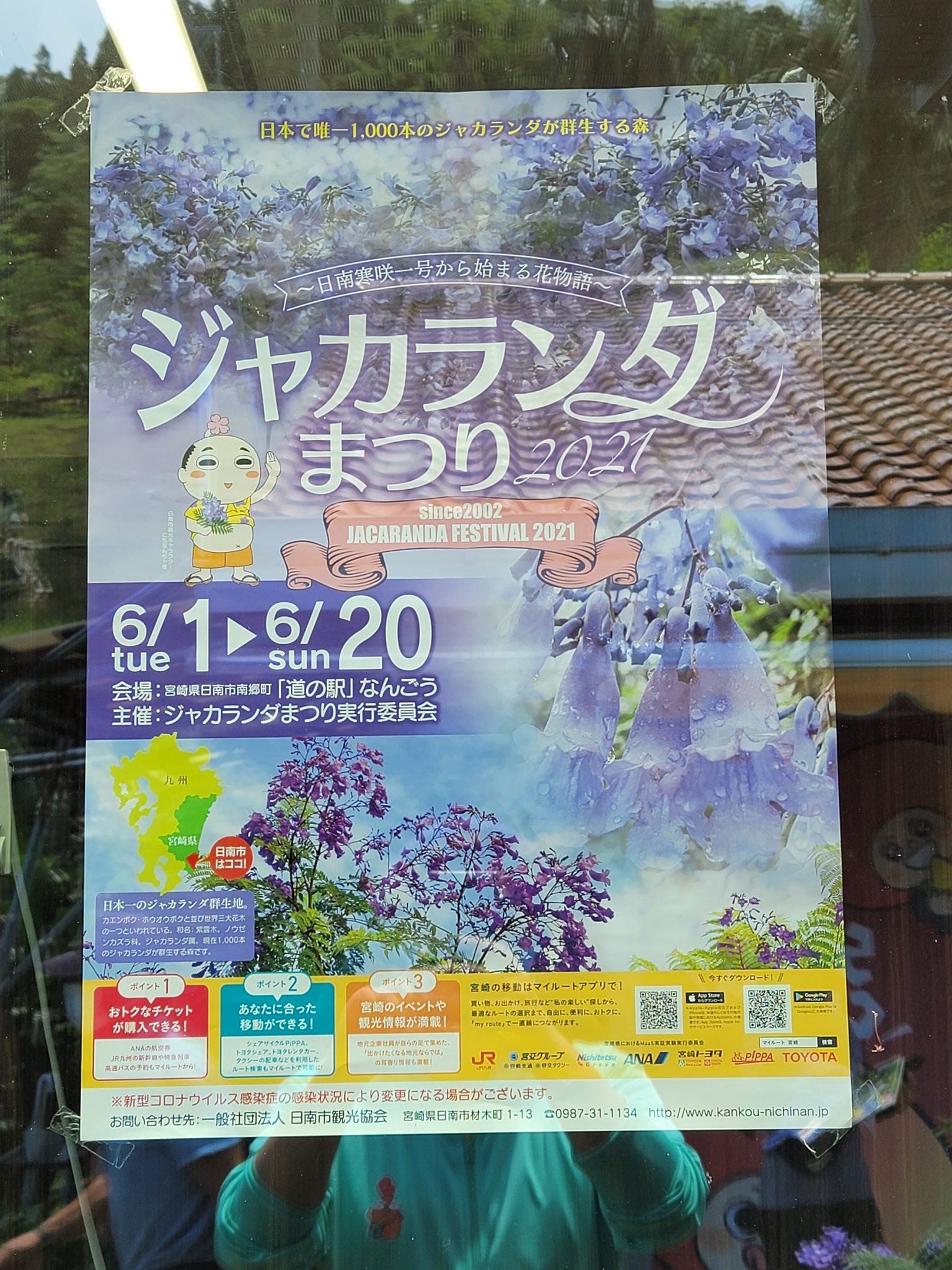 チキンナンゴー 山下 今日からジャカランダまつりです ジャカランダ見に行くともれなく最高のオーシャンビューもおまけで付いてくるのでぜひ南郷に遊びにきてください 南郷町 道の駅なんごう T Co F0raiwcy6f Twitter