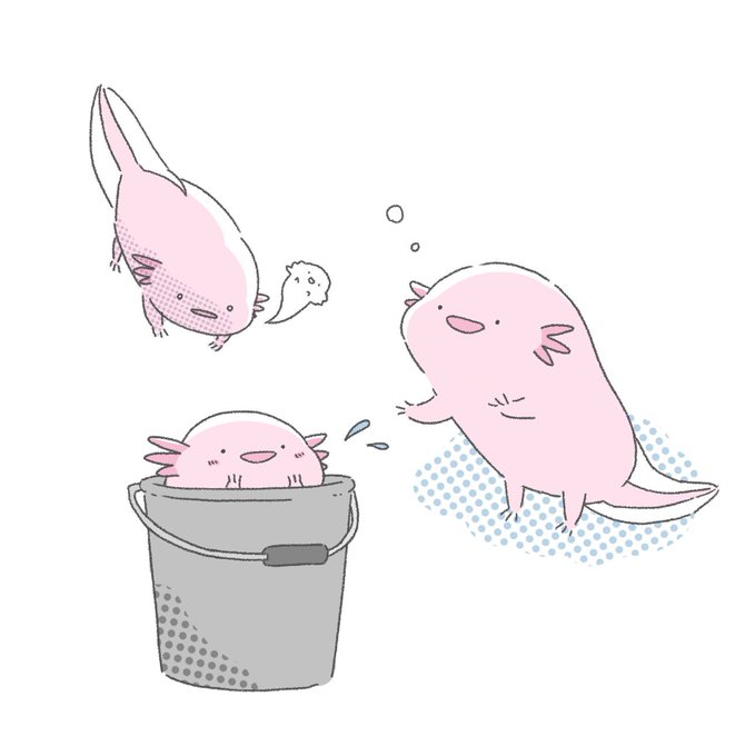 ウーパールーパーのtwitterイラスト検索結果