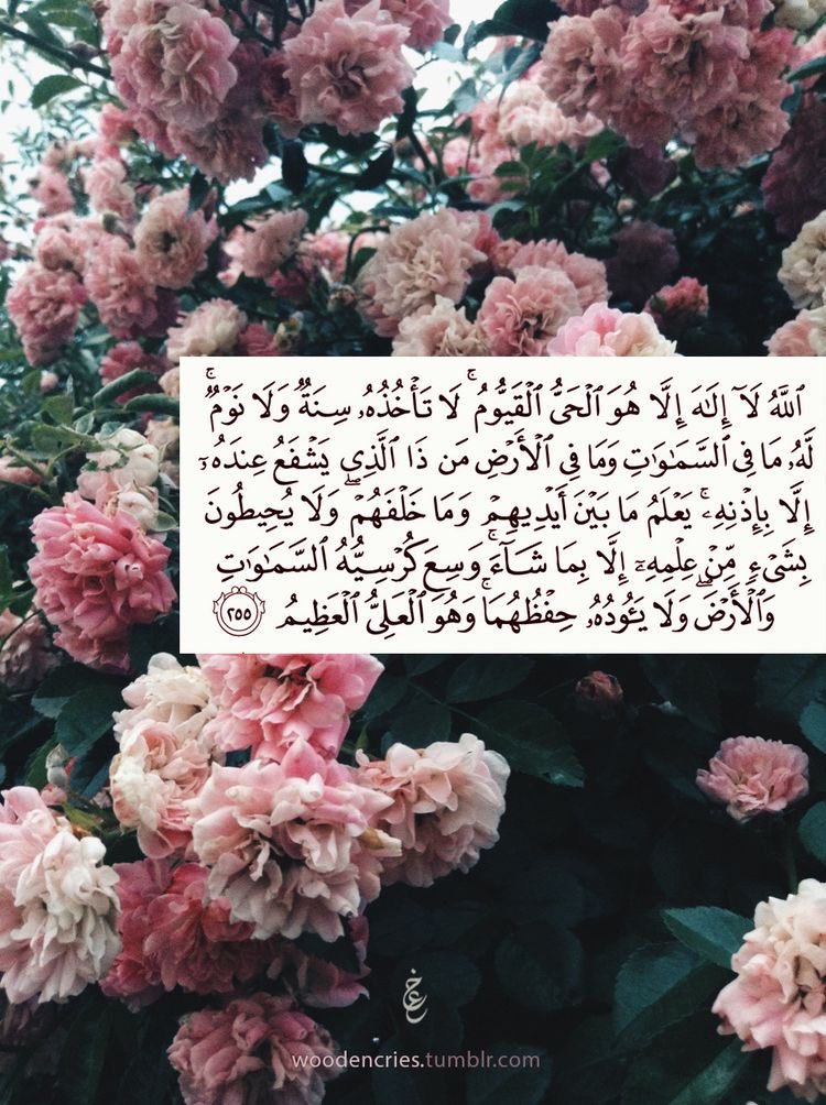 اية الكرسي🪴
#صدقه_جاريه