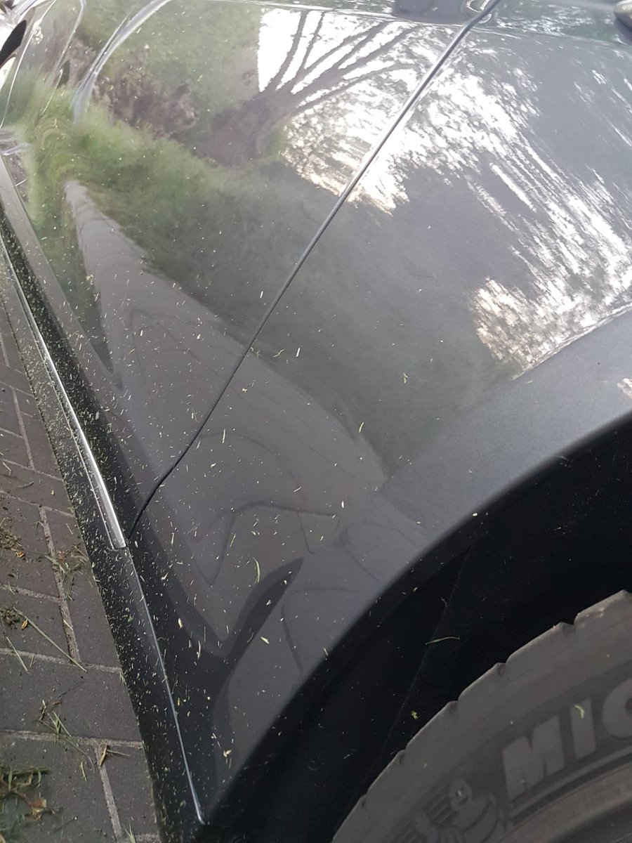 pnicolas_'s tweet photo. Bedankt @StadBrugge om het gras te maaien. Jammer dat mijn wagen (en alle andere wagens) volhangen met opgedroogd gras! https://t.co/eM8ankpBFD