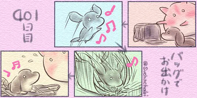 401日目 バッグでお出かけ 