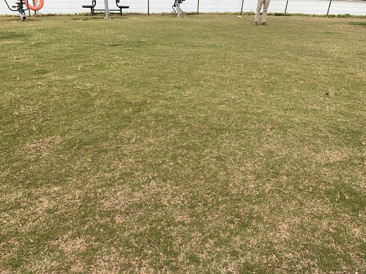 1ª aplicación de Poly-Agua S-Line en Condado de Alhama para una jardinería sostenible con un AHORRO DEL 30% de agua  y energía más el 25% en fertilizantes #biogreenroad #polyagua #polyaguasline #aaff #coafmu #aepjp #parjap #aecg