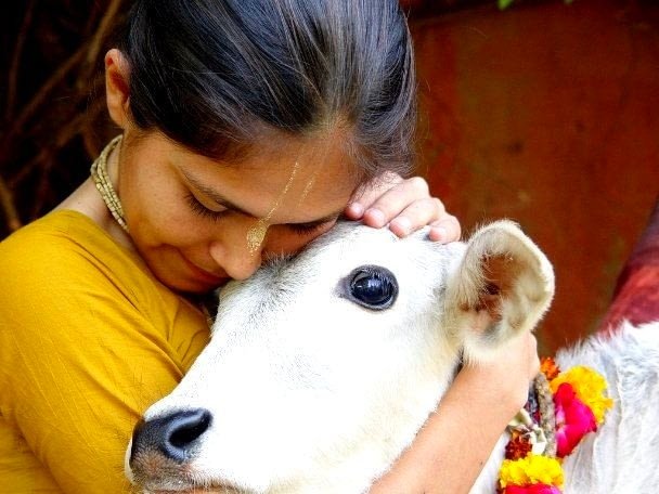 Gaumata has always been an inseparable part of our culture. Her milk is highly sattvik in nature and said to be as nourishing as mother's milk. So don't let agenda-driven people tell you what to do, because Sanatan Dharm knows the best 🙏🏻🚩
#WorldMilkDay #VeganMilk
