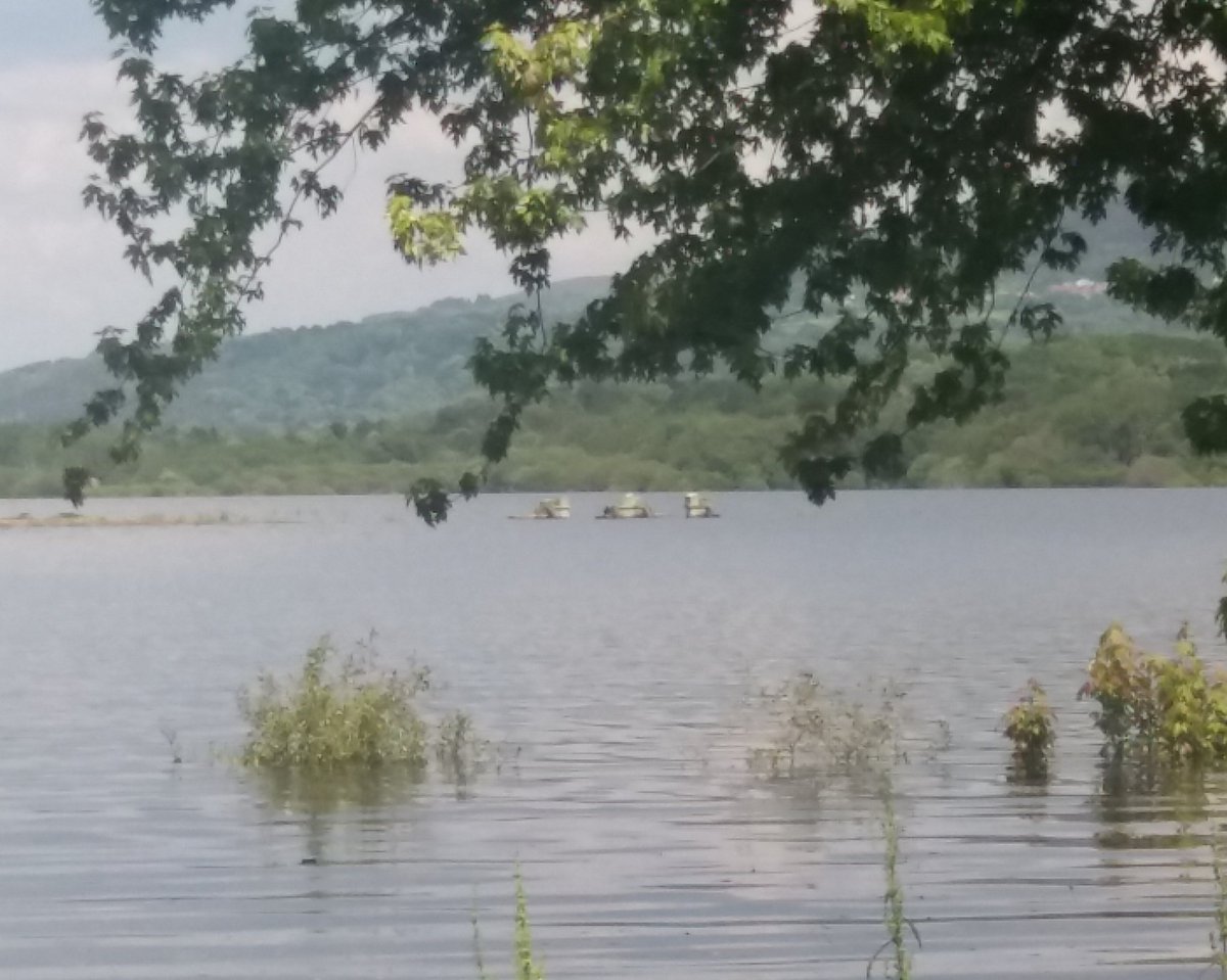Santi_MBarajas's tweet photo. En el embalse das Conchas (río Limia, Ourense) existe un importante y extenso yacimiento romano visitable. Además, se construyó un buen centro de interpretación. Pues bien, el embalse la @CH_MS lo mantiene lleno, y el yacimiento ha quedado totalmente bajo el agua.
Es lamentable. https://t.co/E4kyLwY6lW