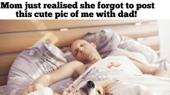BuddyLifeMagzn's tweet photo. https://t.co/9l51LP9tMl
#sundaysleep #sundaywithdad #sleepstakes #sleepingdogs #buddylifedogmagazine🐕
https://t.co/2ywpOTjAMz https://t.co/WOqoUT6L8w