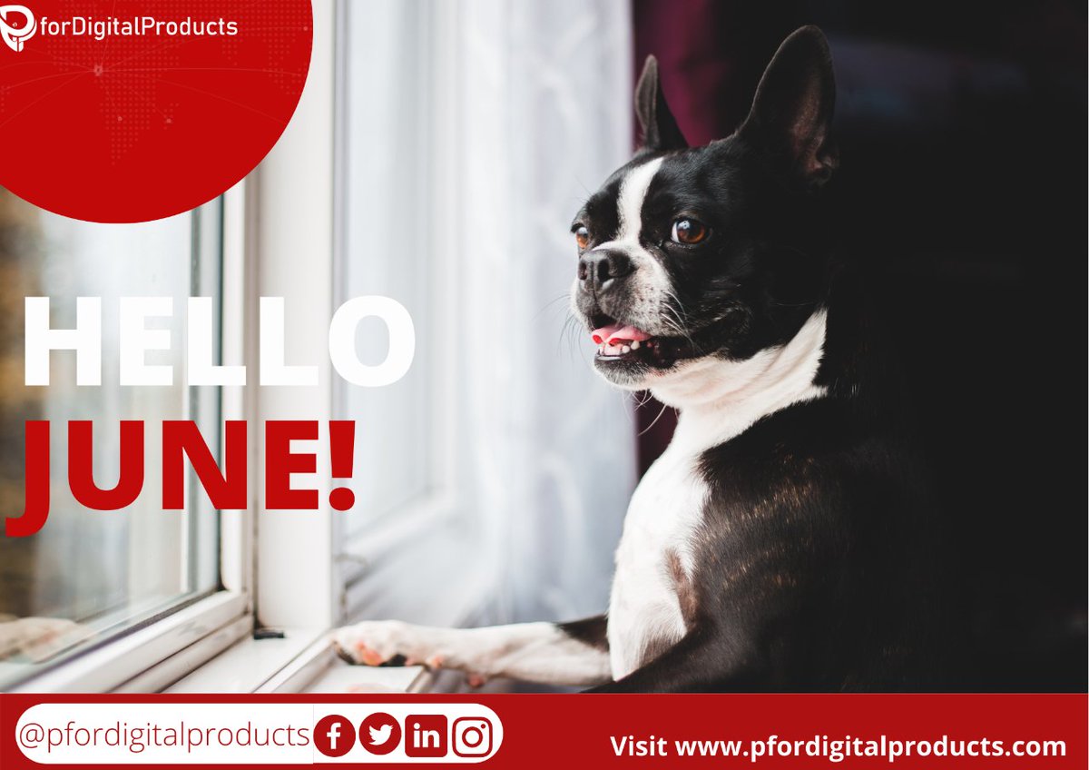 PDiProHQ's tweet photo. We are positive and sure that we are both getting to the desired future we look forward to. Happy new month
#happynewmonth
#coding #femtech #javascript #Python #Ruby #Vue #node #AWS #react  #Java 
#ArtificialIntelligence #DataScience #Robotics #devops
#pfordigitalproducts https://t.co/NTb3r9vh7W