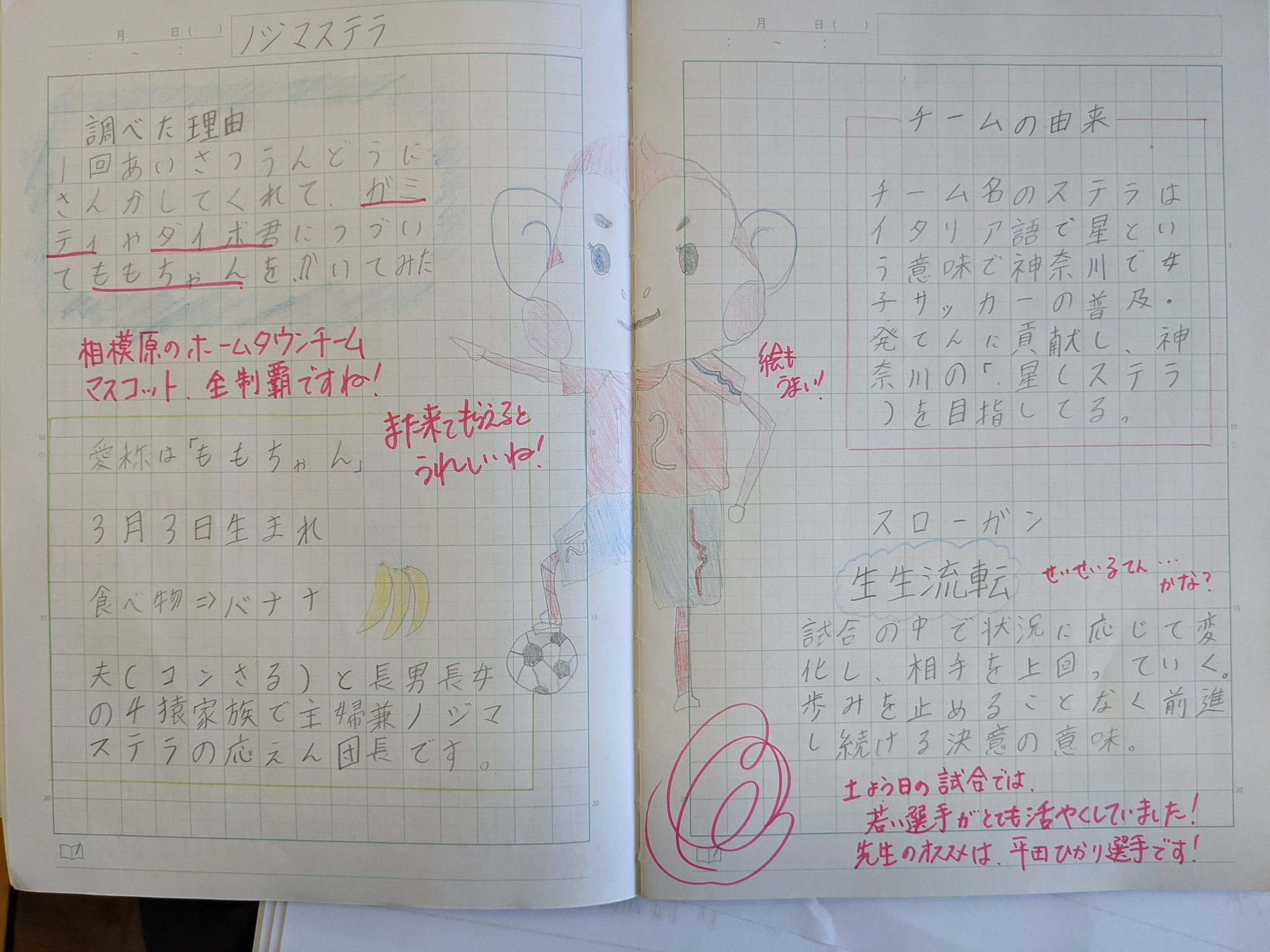 ノジマステラ神奈川相模原 大島小学校から ノジマステラ にも嬉しい連絡が 自主学習ノートの取り組みで ももちゃん について調べてくれた子がいたそうです 絵もとても上手で ももちゃんも喜んでいました 先生も試合を見て下さり