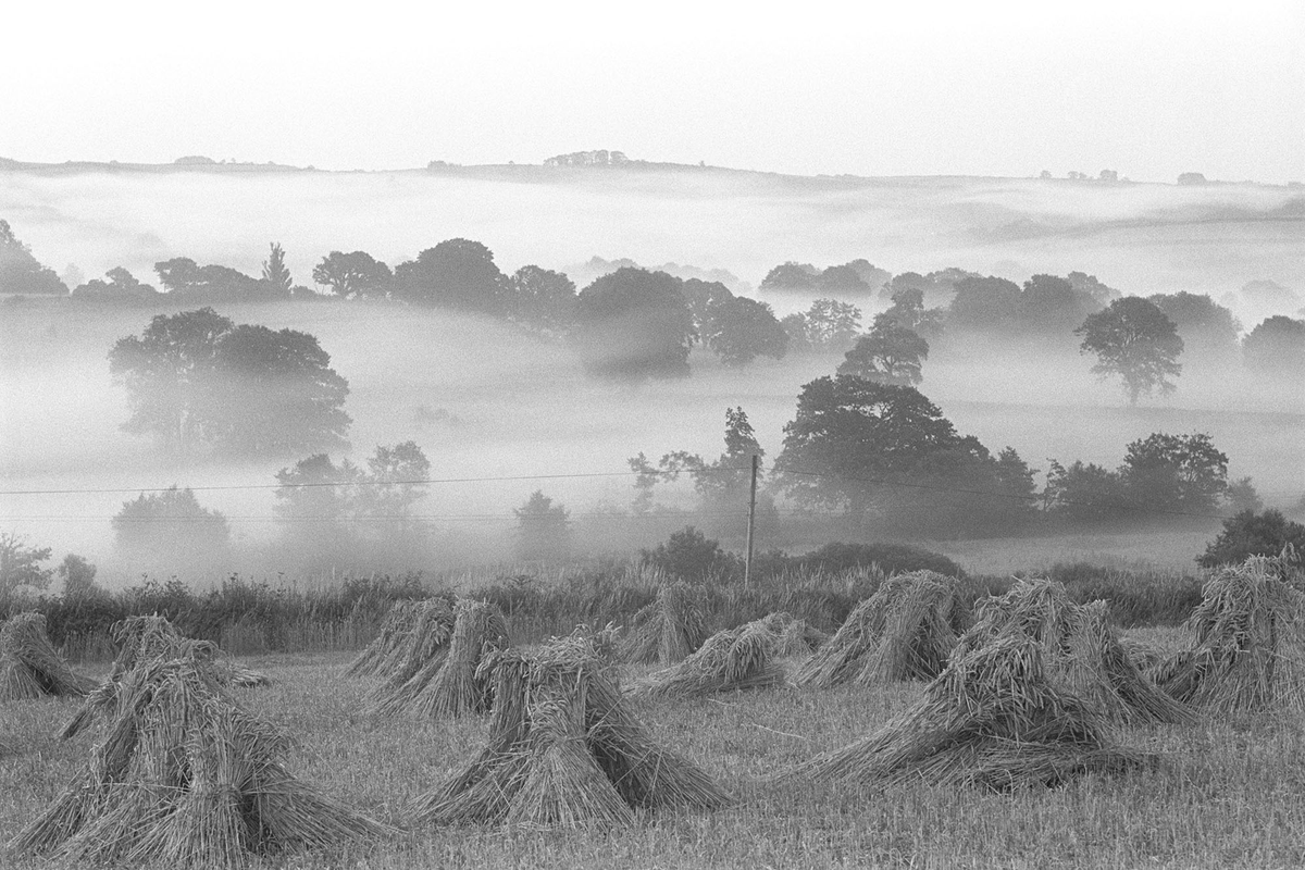 JamesRavilious's tweet photo. Early morning mist on the River Taw, August 1987. Photograph by my Dad ยฉBeaford Arts @beaford #photography #Devon #morning #stooks https://t.co/zJzZdK0DB9 https://t.co/rKF6RQ8cV1