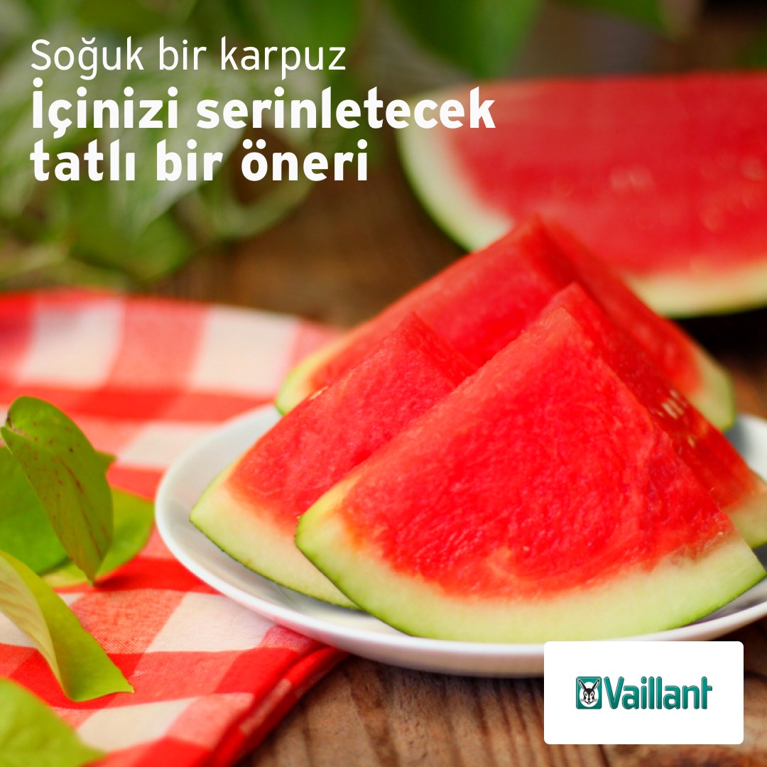 Eca_Kombi's tweet photo. Soğuk bir karpuz içinizi serinletecek tatlı bir öneri :)
https://t.co/z7EEmqchkS
https://t.co/N2yYwAozkA
https://t.co/f6NkU0xdfu
#gunaydın #salı #istanbul #HAYIRLISABAHLAR https://t.co/lOP9HPdRam