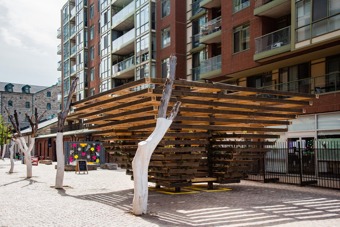 Winter Stations tweet media