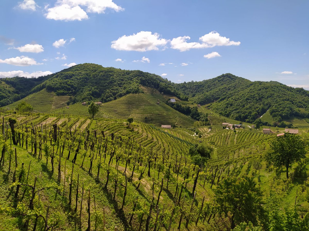 Assaggiatori grappa (@anagitalia) on Twitter photo “Le Grappe hanno l'anima soprattutto dall'uomo che dà loro la vita”. Le parole di Luigi Veronelli nell’incontro online sulla #Grappa di #Prosecco che ha chiuso il ciclo “Le meraviglie dei territori…crescono”
Anag Piemonte, Anag #TrentinoAltoAdige, <a href="/AnagVda/">ANAG Valle d'Aosta 🇮🇹</a> e <a href="/anag_veneto/">anag veneto</a> “Le Grappe hanno l'anima soprattutto dall'uomo che dà loro la vita”. Le parole di Luigi Veronelli nell’incontro online sulla #Grappa di #Prosecco che ha chiuso il ciclo “Le meraviglie dei territori…crescono”
Anag Piemonte, Anag #TrentinoAltoAdige, <a href="/AnagVda/">ANAG Valle d'Aosta 🇮🇹</a> e <a href="/anag_veneto/">anag veneto</a>