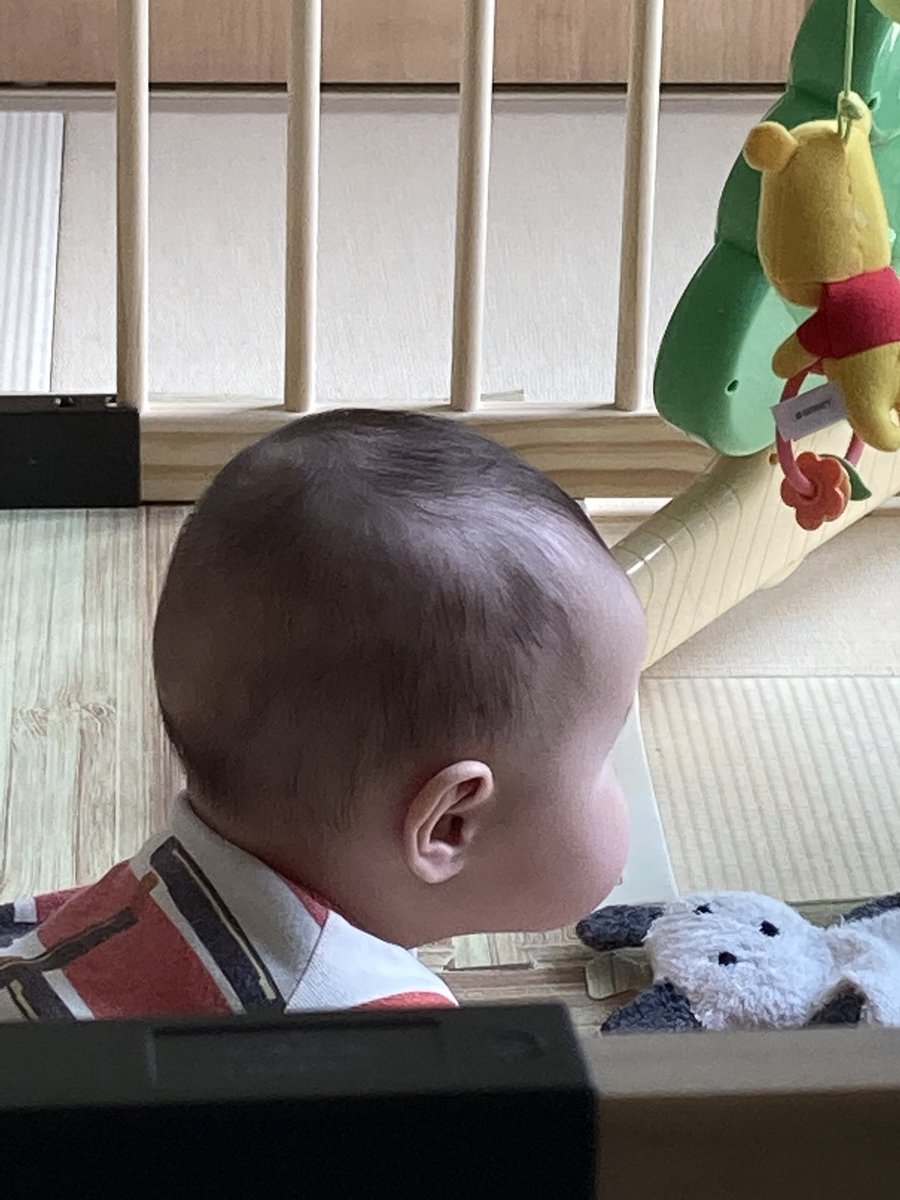 ステルラ それってどうなのフランス人 若い時クレヨンしんちゃん 見てて こんなほっぺた突出してる子どもはいないと思ってたけど 息子 の横顔がしんちゃんそっくりで驚愕している ステルラ それってどうなのフランス人 若い時クレヨンしんちゃん 見てて こんなほっぺた突出してる子どもはいないと思ってたけど 息子 の横顔がしんちゃんそっくりで驚愕している