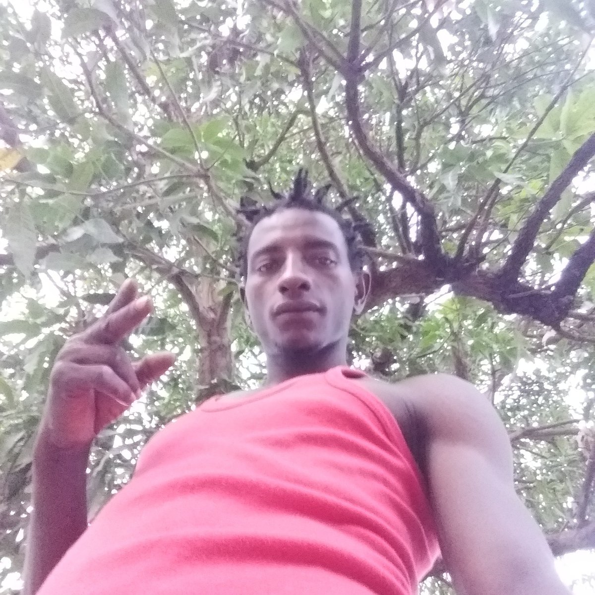 Alieu Jallow (@alieuja19918637) on Twitter photo 