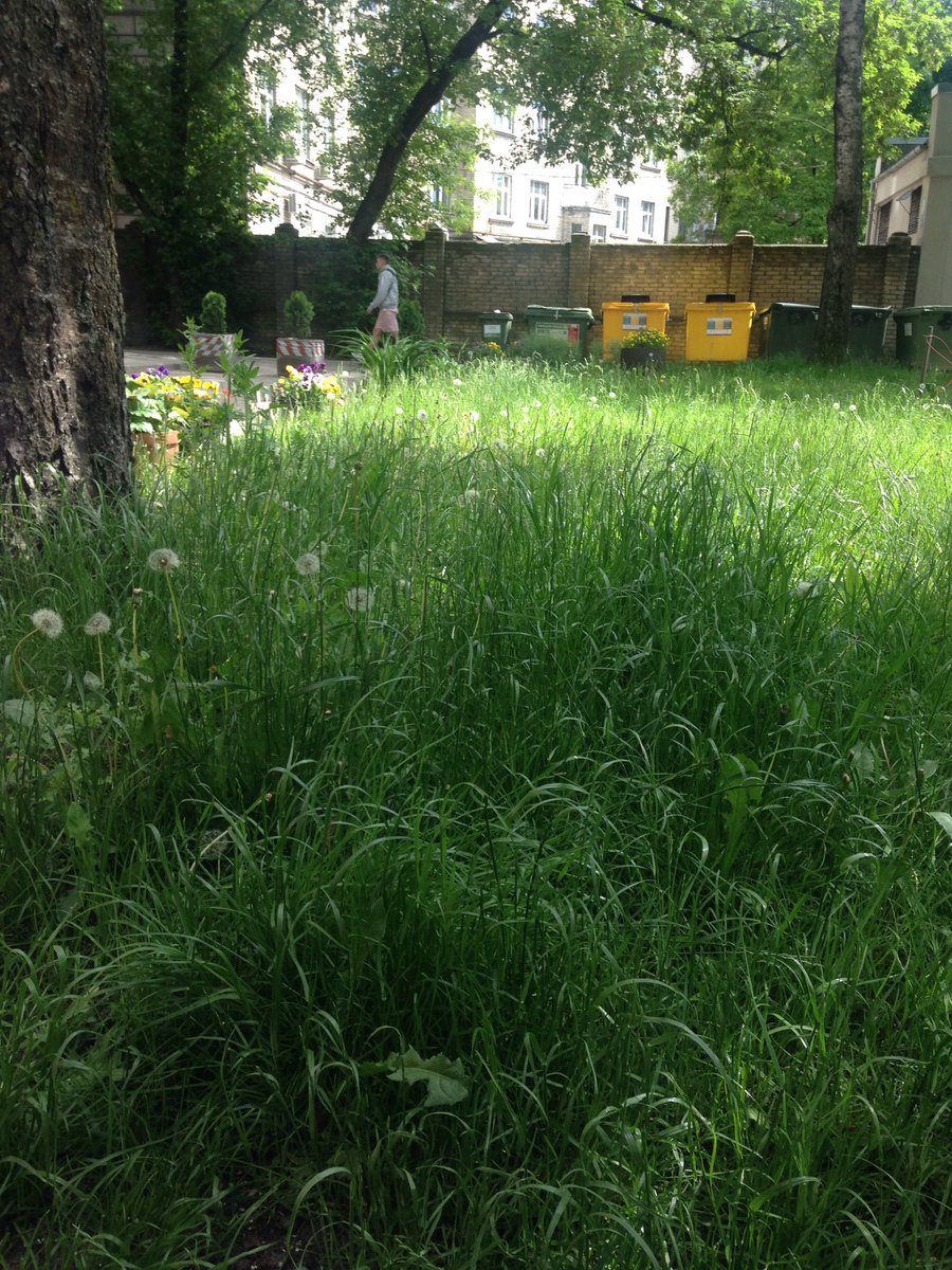 Vai restarta Rīgas varai ar @martinsstakis un 3 vicemēriem priekšgalā ir kāda jauna iekšpagalmu pļavu programma?  Vai tomēr tukšmuldēšana bija priekšvēlēšanu solījumi uzlabot @RNparvaldnieks darbu, kurš tāpat kā pie Usakov zāli aizvien pļauj pēc grafika, nevis vajadzības.