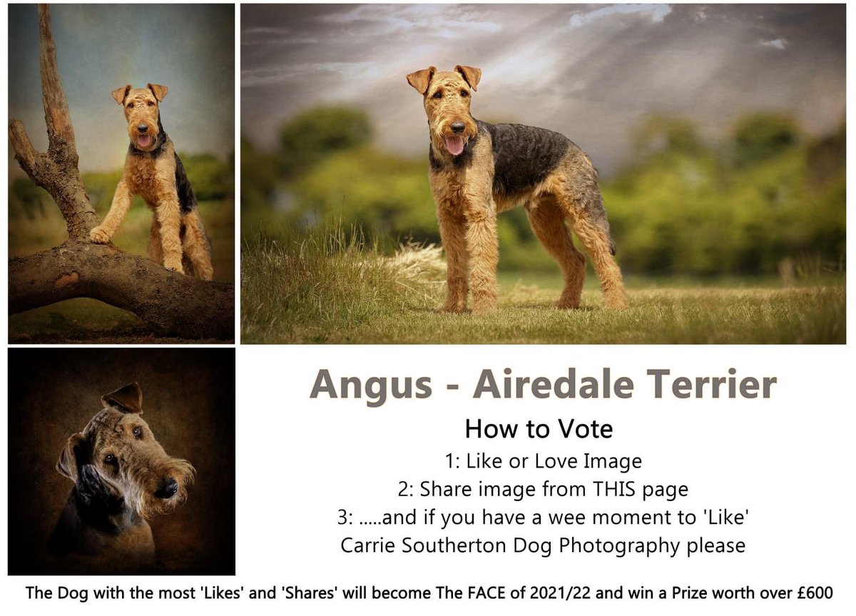 Hi everybody, big day is here for Angus 
You need to be on Facebook and the post needs liked and SHARED
So if possible, could you please try and do this 😍😍

m.facebook.com/carriesouthert…