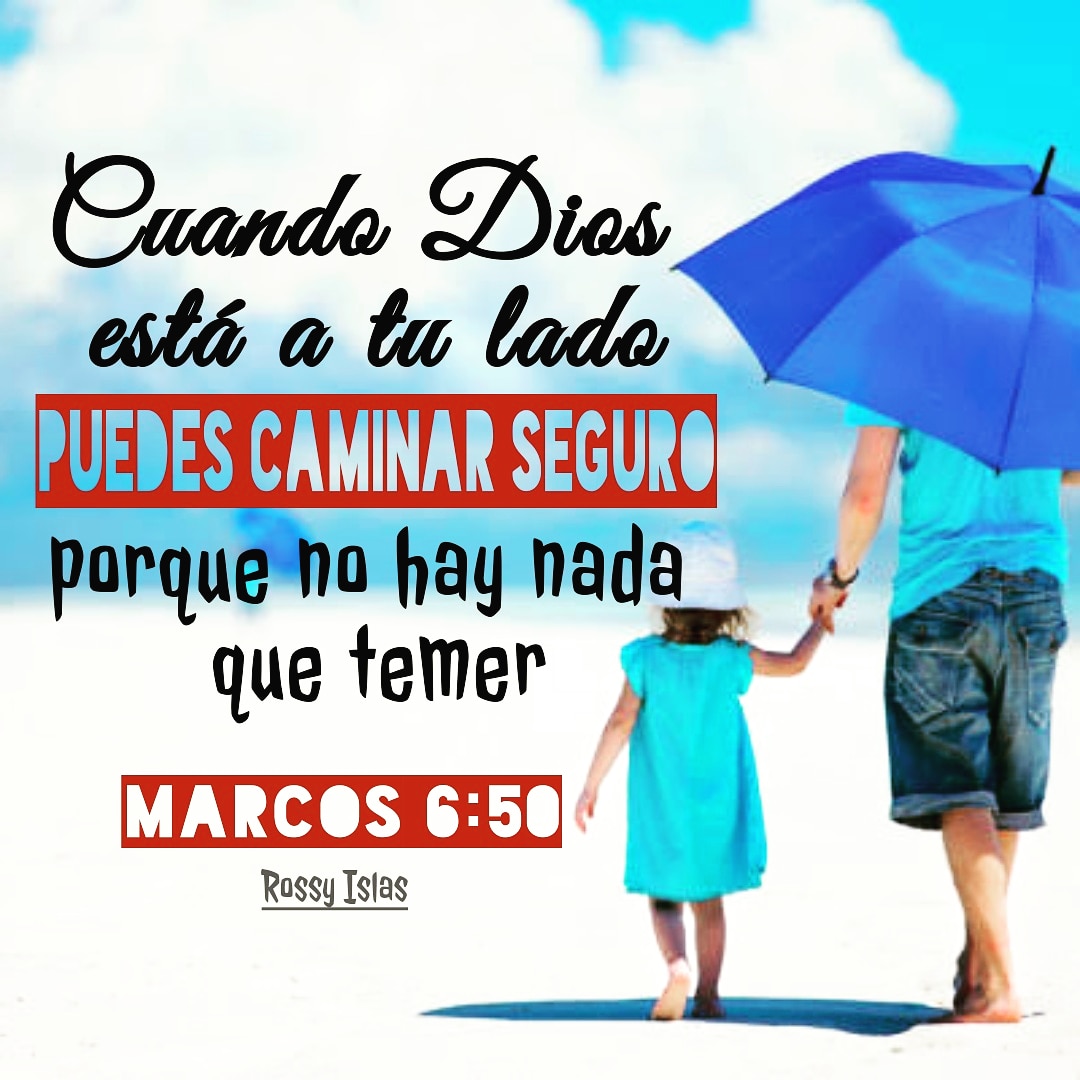 roziizlaz's tweet photo. Cuando el temor, la ansiedad y la incertidumbre se apoderen de tu corazón, Jesús te dice: "Tranquilo, Soy Yo, no tengas miedo" #marcos6 #rpsp #VerseOfTheDay #notemas #tencalma #primeroDios #FelizDia https://t.co/7Q3bcRUZBy
