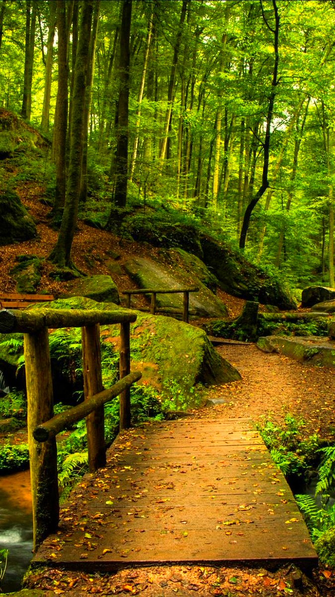 SummerK17742538's tweet photo. Beautiful Day 💚💚💚🌲🌲 https://t.co/4pjtLo3C6O