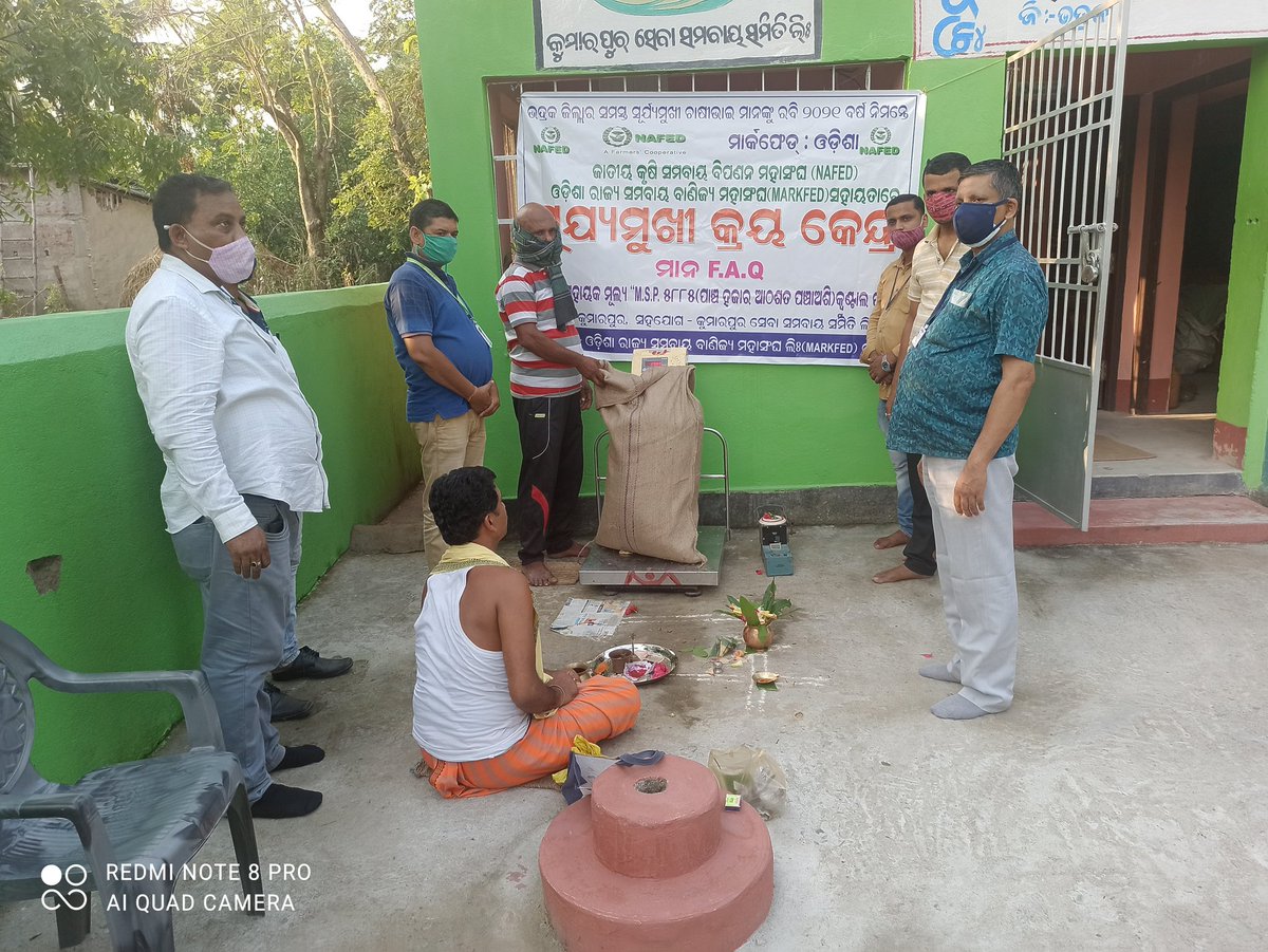 Arcs_Bhadrak's tweet photo. Opening of Mandi at Kumarpur SCS under Basudevpur block in Bhadrak District for procurement of Sunflower🌻 seeds under PSS operation. https://t.co/nZpMcS0x3m