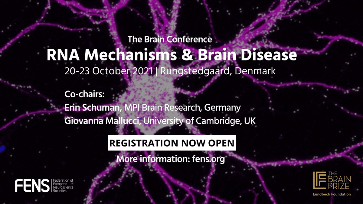 FENS (@fensorg) on Twitter photo 🗣️ Registration is open for the #BrainConference: RNA Mechanisms & Brain Disease!
Chaired by <a href="/erin_schuman/">Erin schuman</a> & <a href="/MallucciLab/">Mallucci Lab</a>, this meeting will explore how #neurons regulate RNA molecules.
Registration & more info 👉 loom.ly/SGI84aM
Organised by #FENS & <a href="/lundbeckfonden/">Lundbeckfonden</a> 🗣️ Registration is open for the #BrainConference: RNA Mechanisms & Brain Disease!
Chaired by <a href="/erin_schuman/">Erin schuman</a> & <a href="/MallucciLab/">Mallucci Lab</a>, this meeting will explore how #neurons regulate RNA molecules.
Registration & more info 👉 loom.ly/SGI84aM
Organised by #FENS & <a href="/lundbeckfonden/">Lundbeckfonden</a>