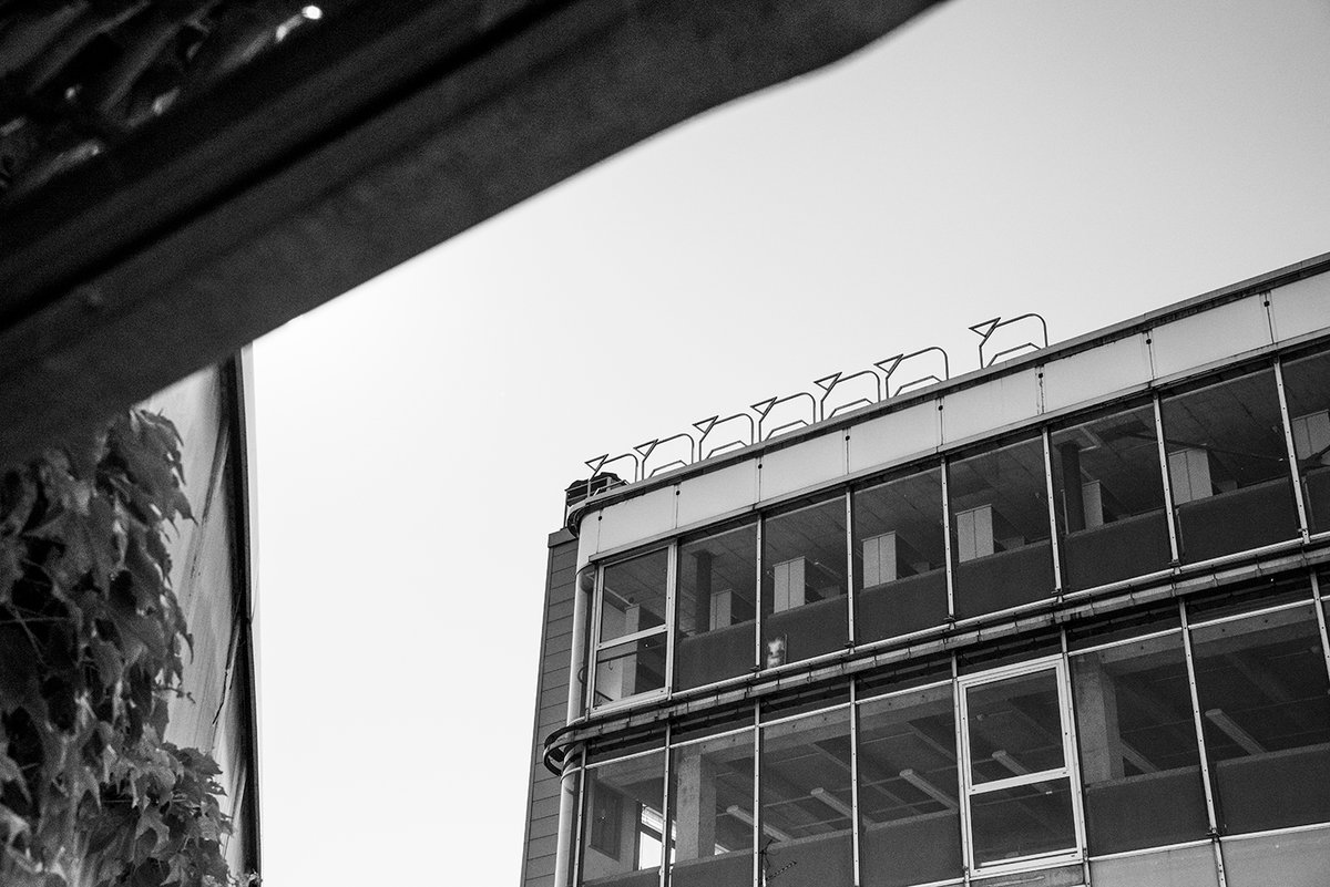 CultureLyon2's tweet image. Vous vous souvenez des moutons sur le toit de la #BULyon2 ?
Ces🐑, éléments de #modulart de l&apos;artiste JL Guillaume ont été démontés pour être mis en sécurité pendant la période des travaux du campus PdA de l&apos;@univ_lyon2.
Leur future place sera décidée avec l&apos;artiste... #staytuned