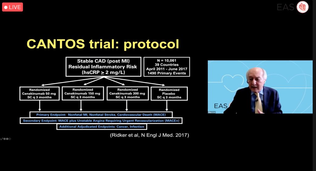 lore_ddlt's tweet photo. A very interesting and clear presentation by @ehj_ed at #EASCongress2021 on how inflammation is affecting atherogenesis and plaque stability @EASCongress @society_eas @DaniloNorata https://t.co/qmr31wCyc2