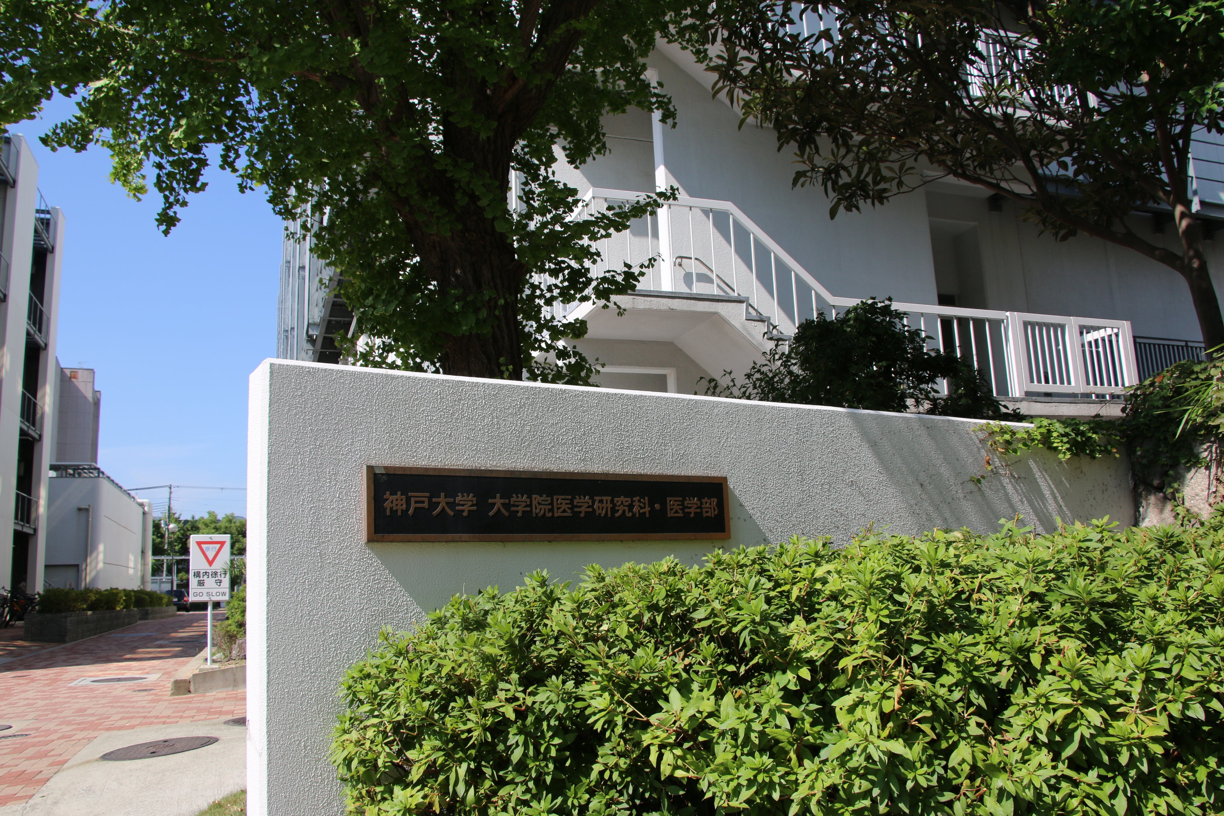 神戸大学学生広報チーム 神戸大学radio 予告 今週は 学部紹介 医学部医学科編 学部長の南先生をお招きし 医学部のカリキュラムや入試の特徴などについて伺います 医学部医学科hp T Co Rwc0scpo33 キャンパス風景 T Co