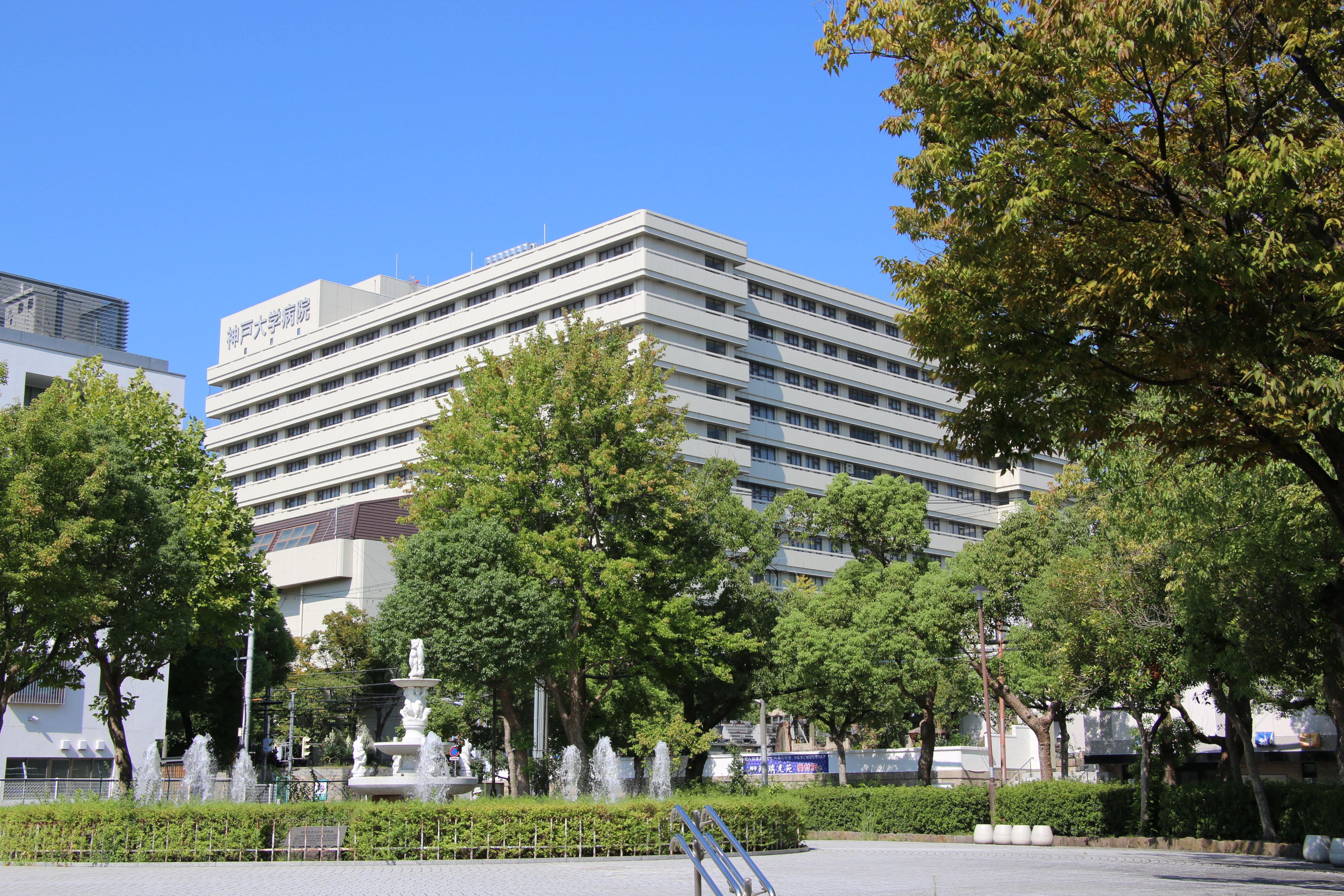 神戸大学学生広報チーム 神戸大学radio 予告 今週は 学部紹介 医学部医学科編 学部長の南先生をお招きし 医学部のカリキュラムや入試の特徴などについて伺います 医学部医学科hp T Co Rwc0scpo33 キャンパス風景 T Co