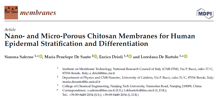 itmcnr's tweet photo. A new open access paper entitled: "Nano- and Micro-Porous #Chitosan #Membranes for Human #Epidermal #Stratification and #Differentiation" on @Membranes_MDPI is out. Read it via the following link:
https://t.co/tTiPuPwN2u

@CNRsocial_  @UniCalPortale  @Simona_Salerno_ https://t.co/x2Dnm92aFF