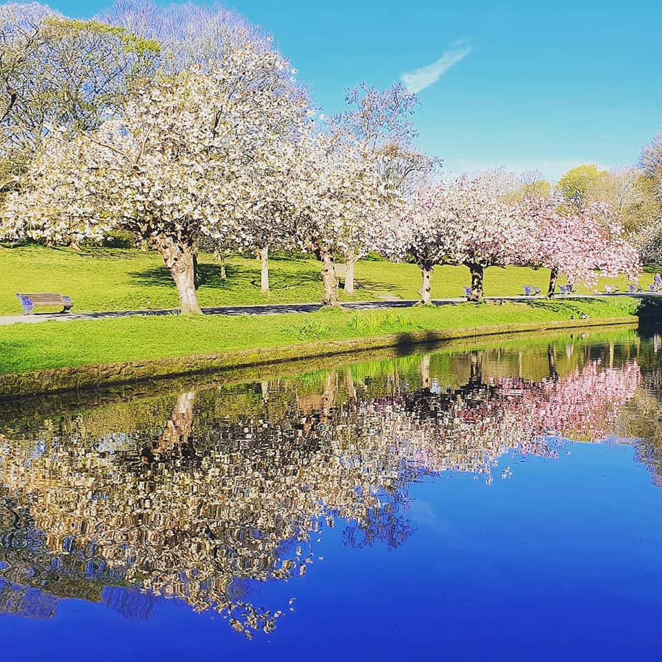 lpoolcouncil's tweet image. About 1 in 3 people with #Covid19 do not have symptoms, but can still infect others.

Our mobile testing centres will be in our amazing parks throughout #HalfTerm. #LetsGetTested

🌳1 - 6 June Calderstones Park
🦆1 - 4 June Sefton Park
🌷 5 - 6 June Croxteth Park

@liverpoolparks