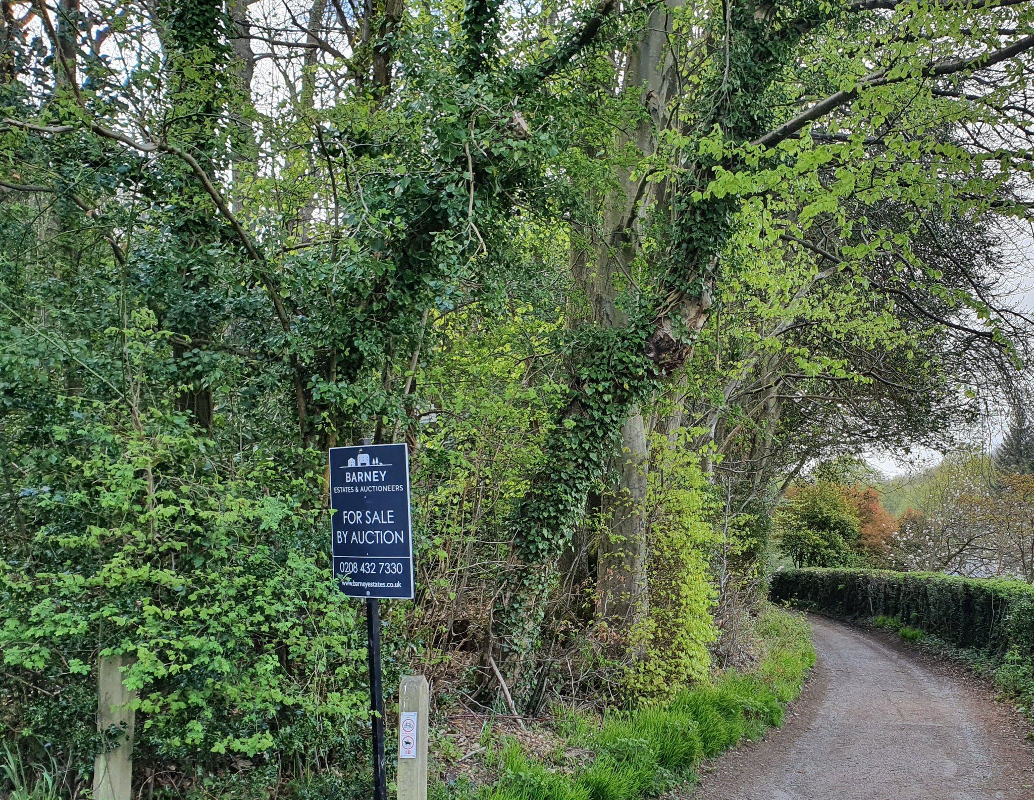 Sevenoaks District Council on Twitter "Last week, we took action to