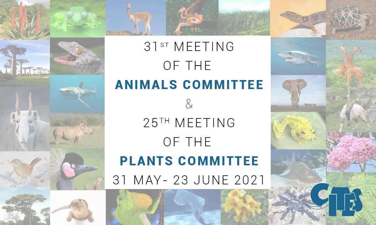 CITES on Twitter: CITES on Twitter: